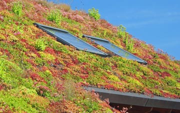 Wath Brow living roof systems