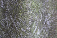 Wath Brow fibreglass roof work